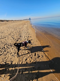 First Landing State Park