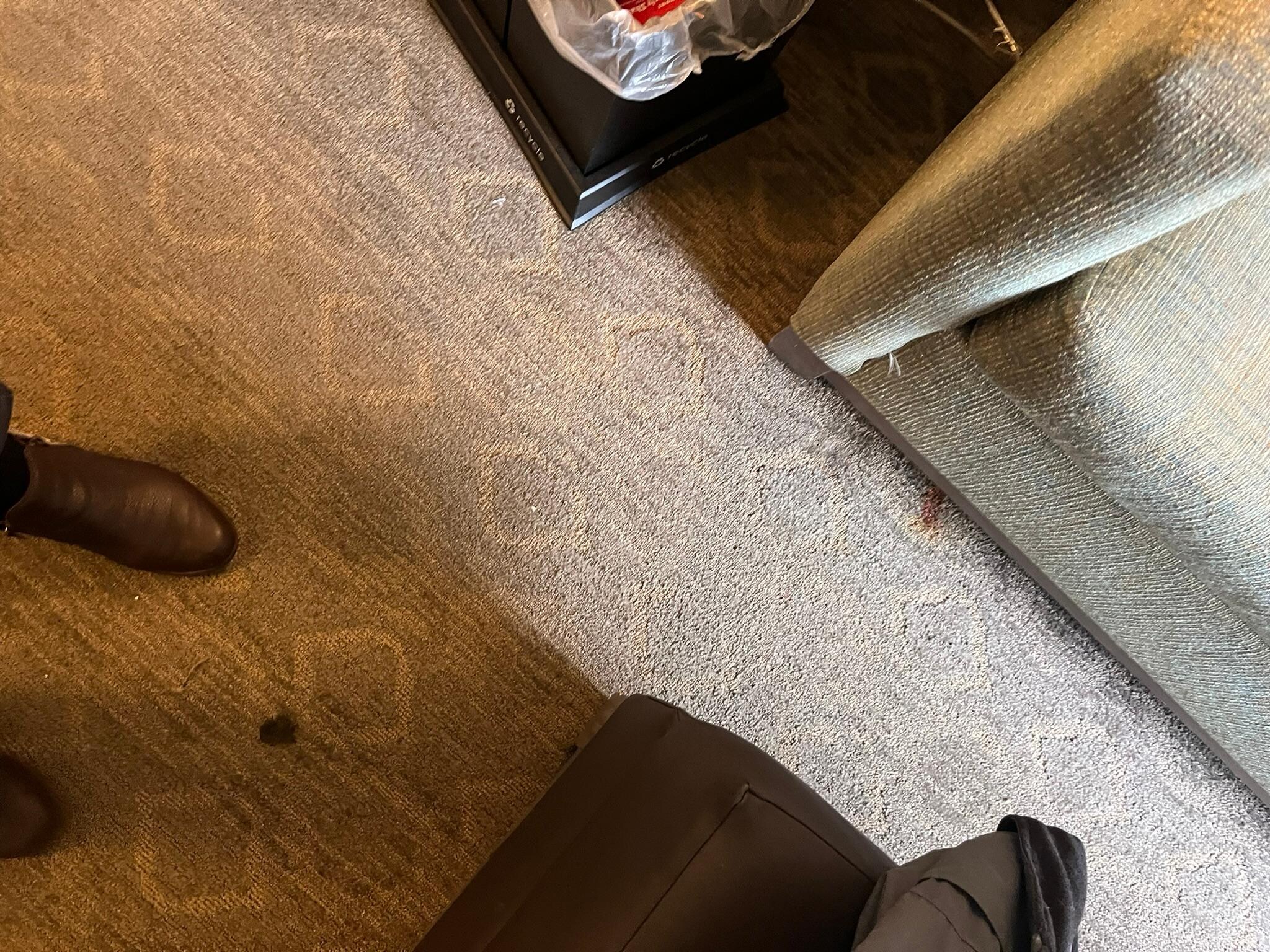 Dirt spots all on the rugs