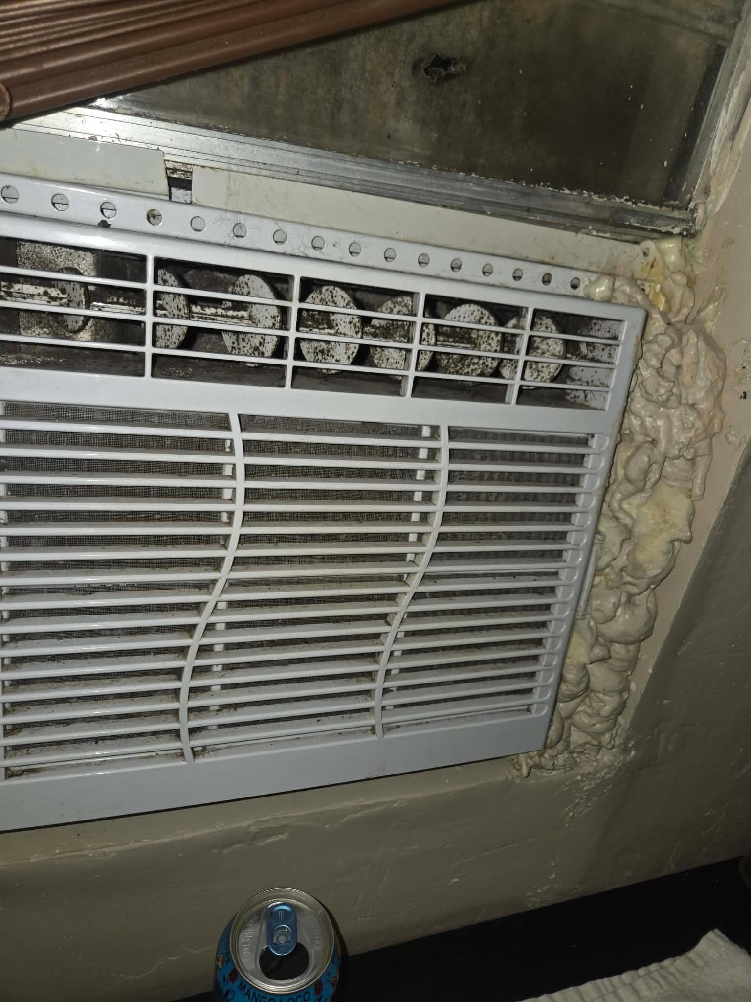 AC full of mold