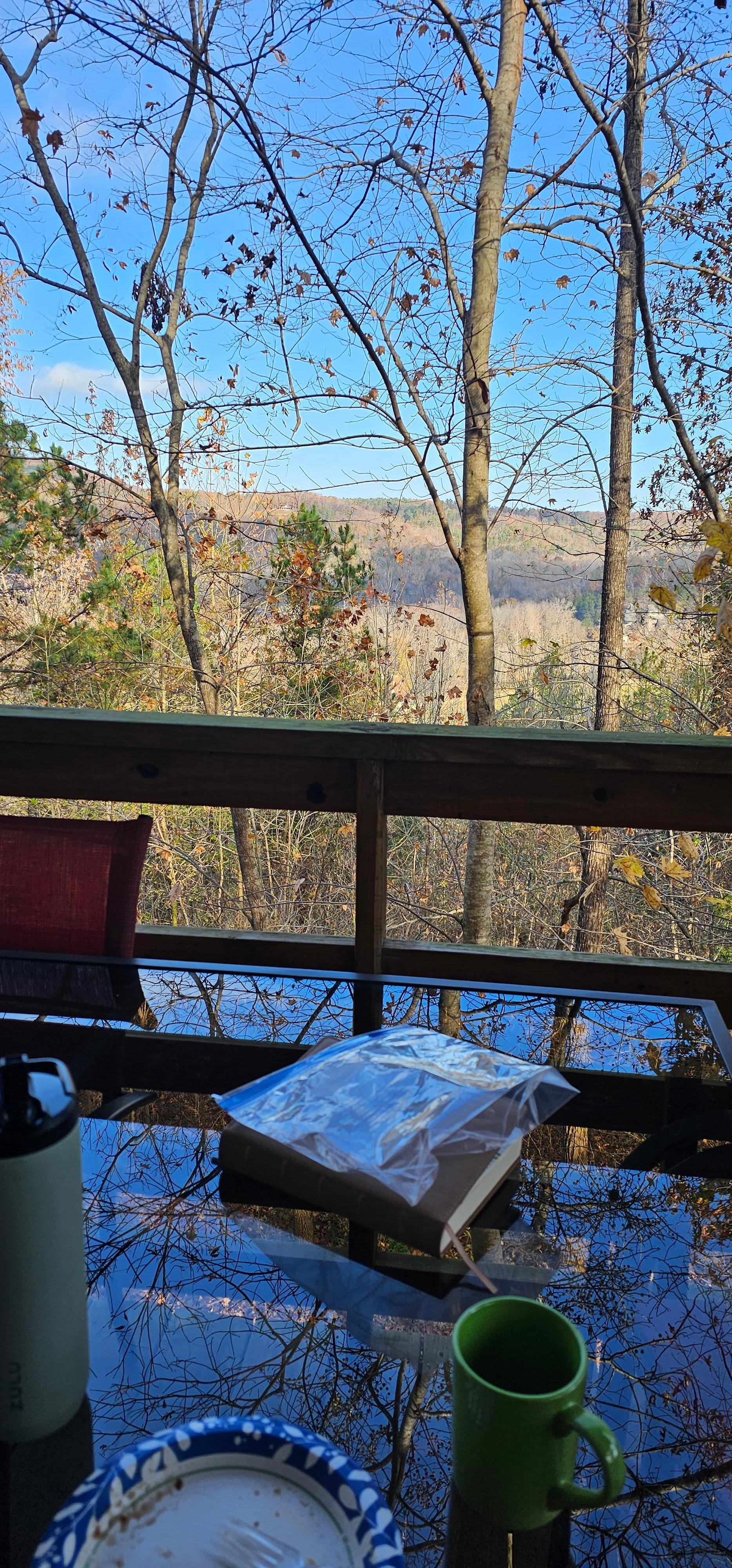 View from the back porch.