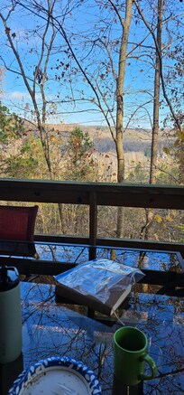 View from the back porch.