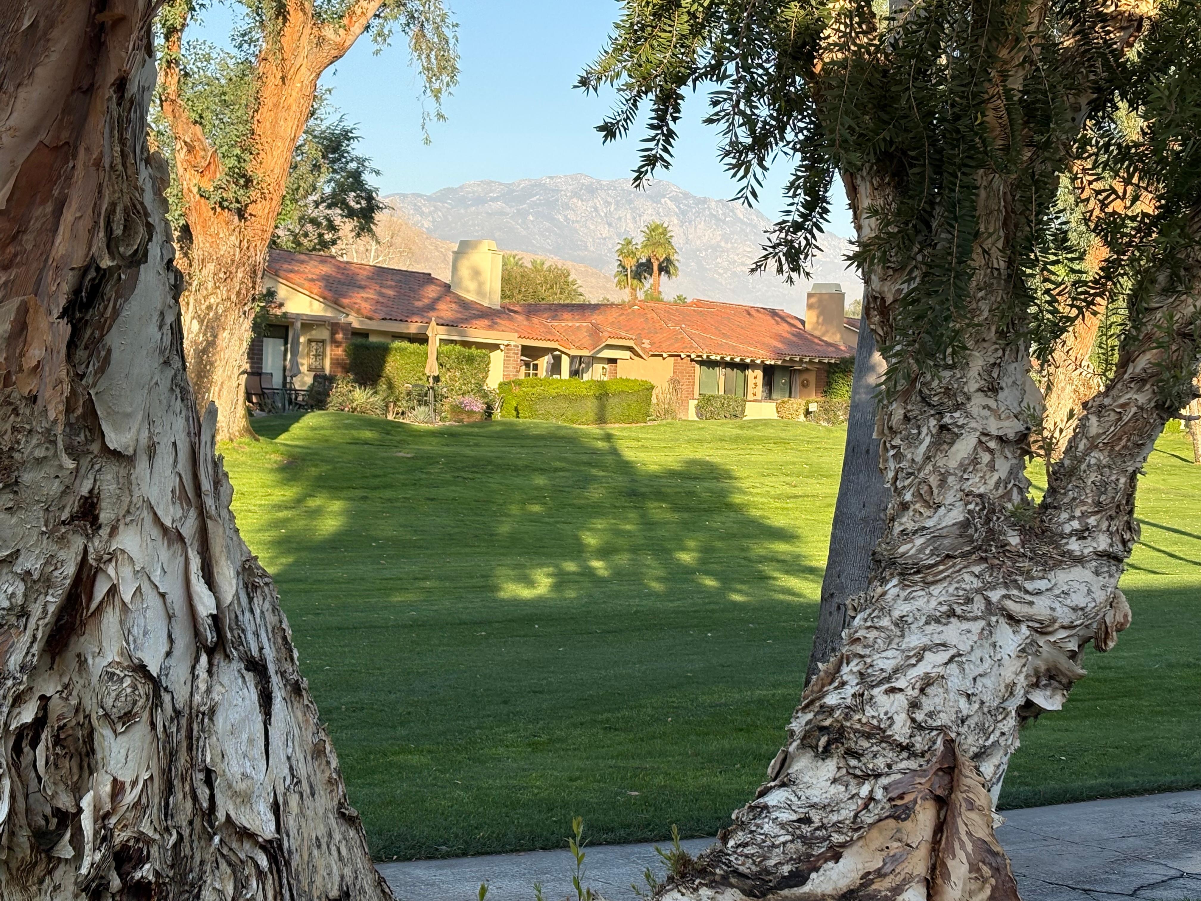 View from the back of the casita. 