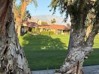 View from the back of the casita.