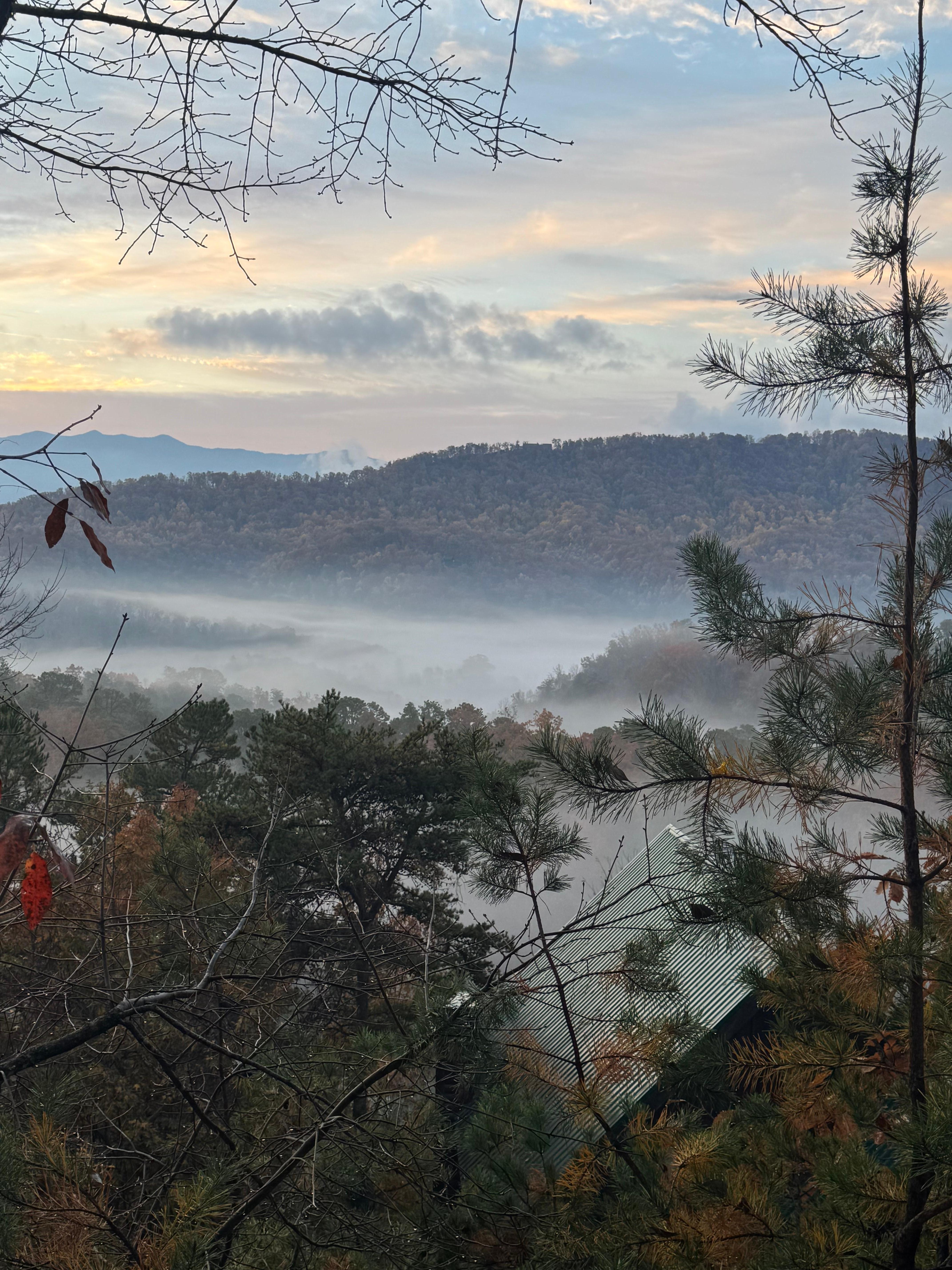 View from the back deck as the sun was rising 