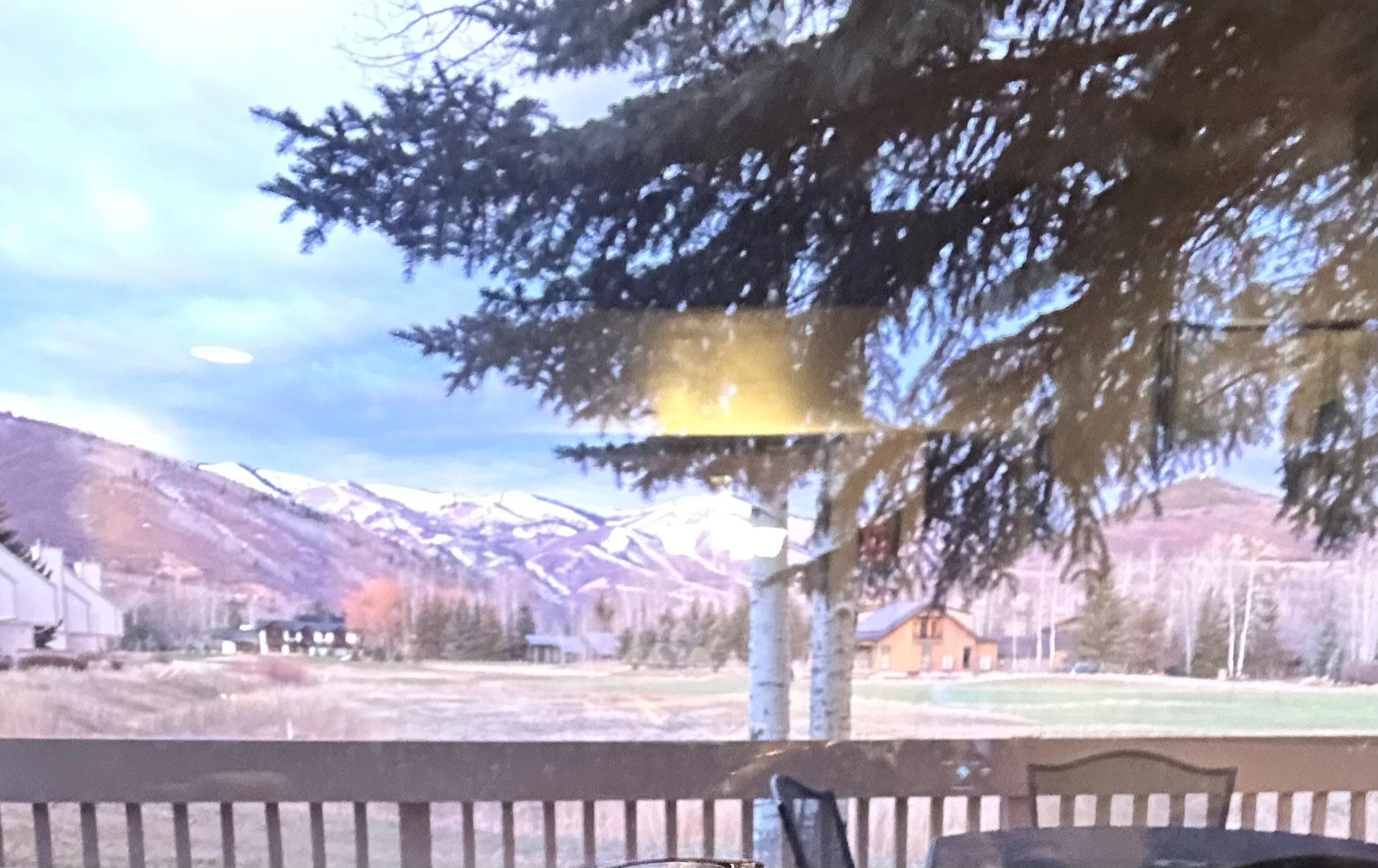 View from inside the den. 