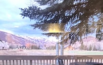 View from inside the den.