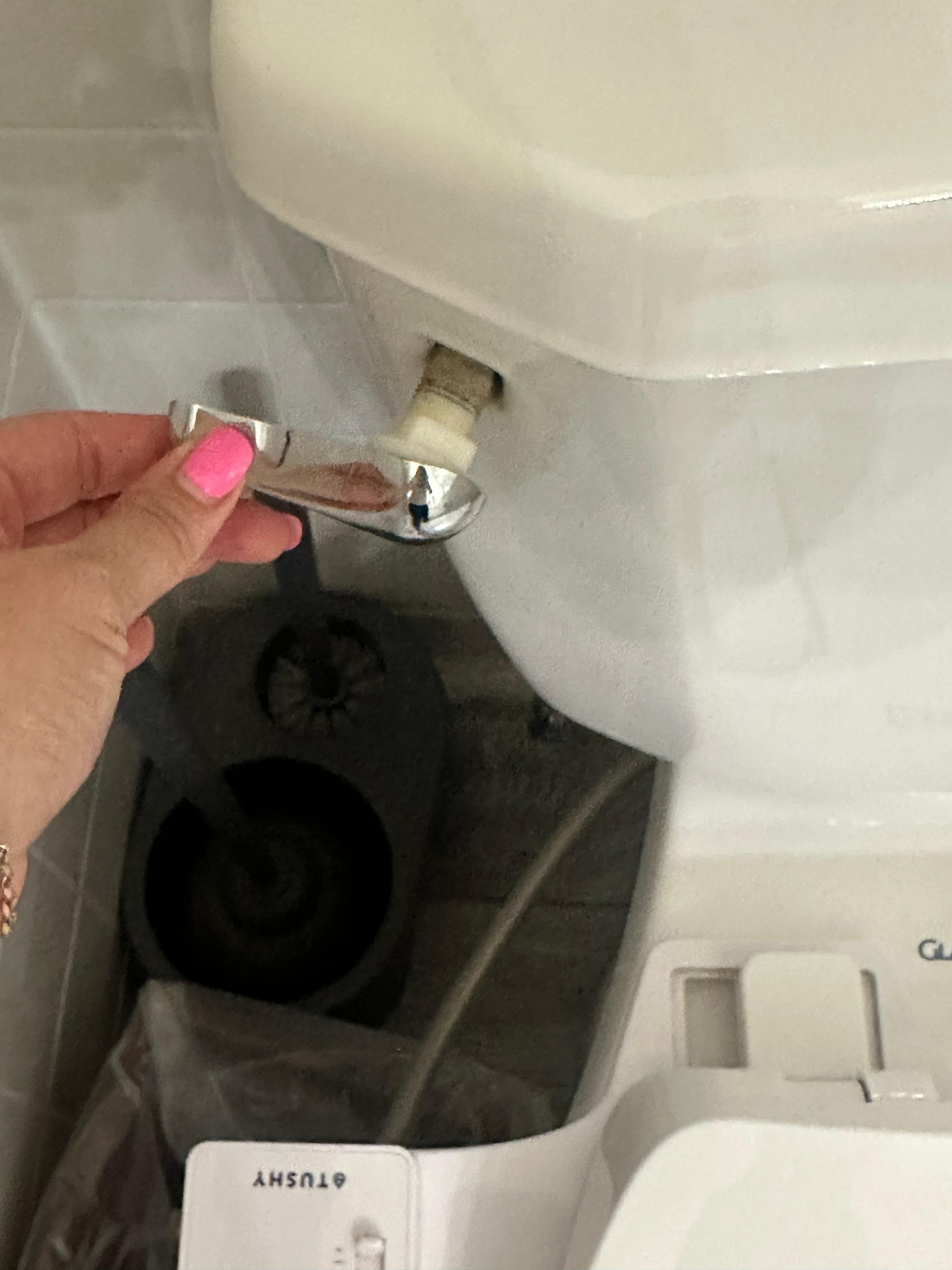 Broken toilet handle