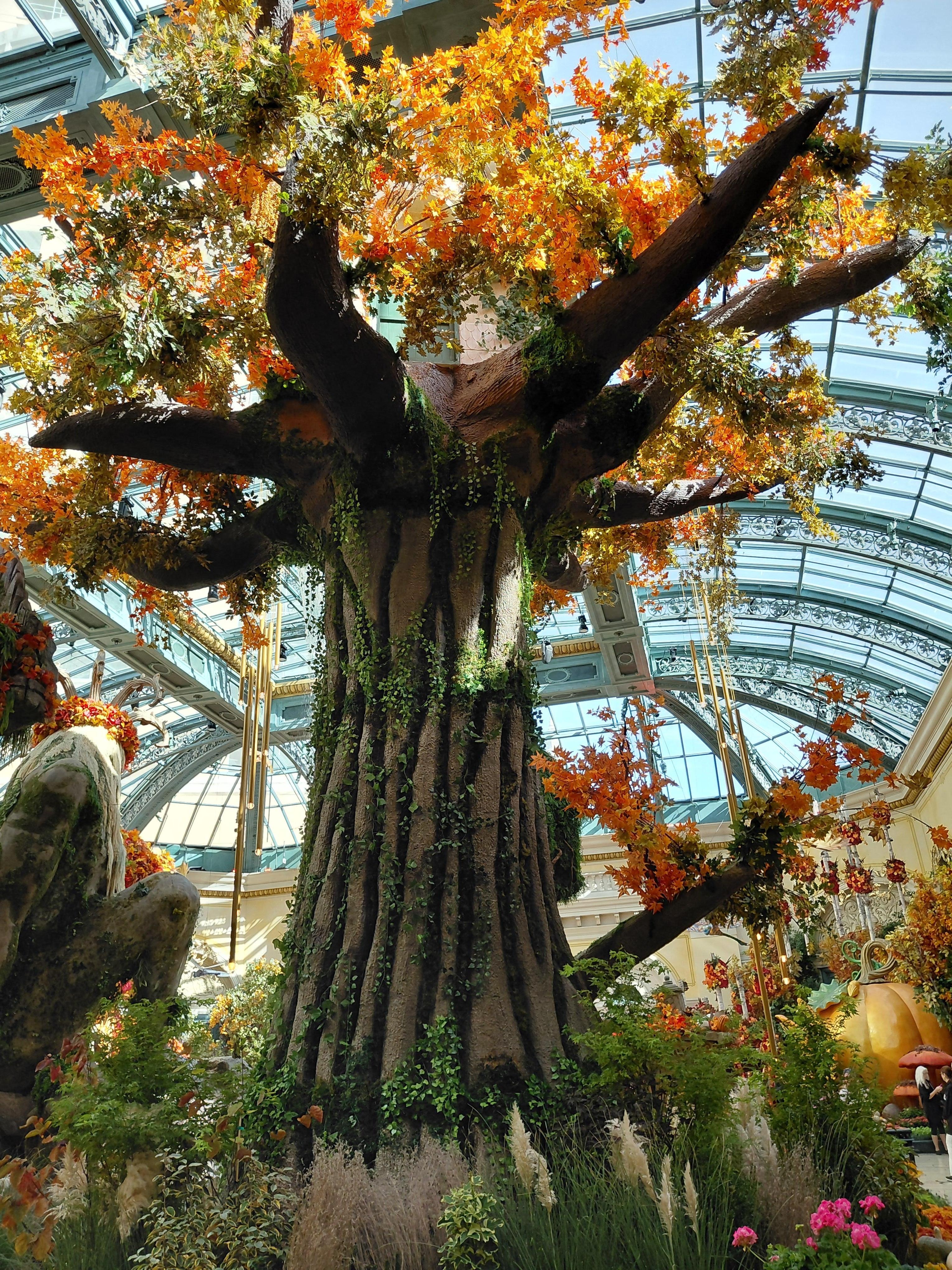 Conservatorium at the Bellagio. 