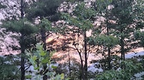 Sunset, picture doesn't do the colors justice.