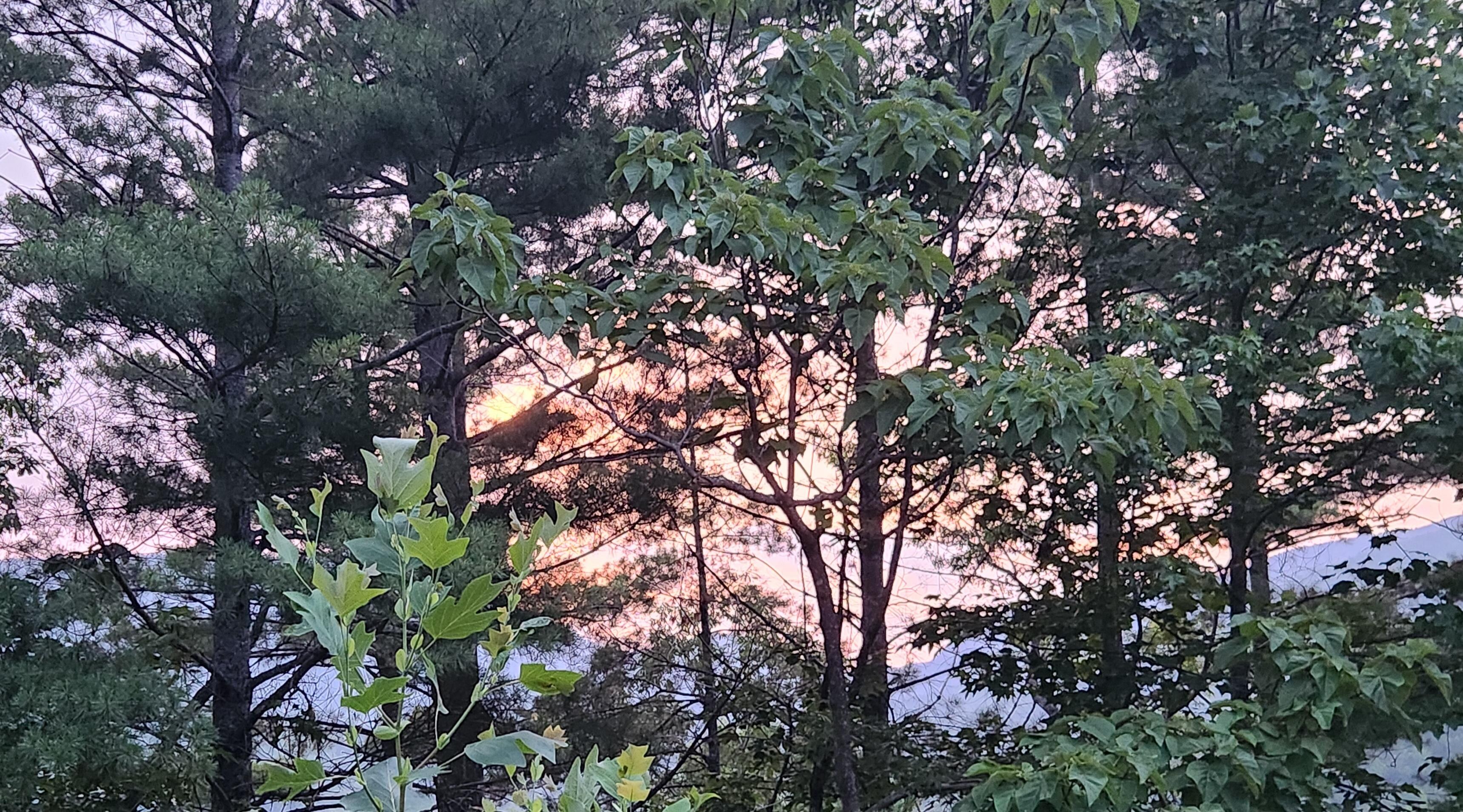 Sunset, picture doesn't do the colors justice. 
