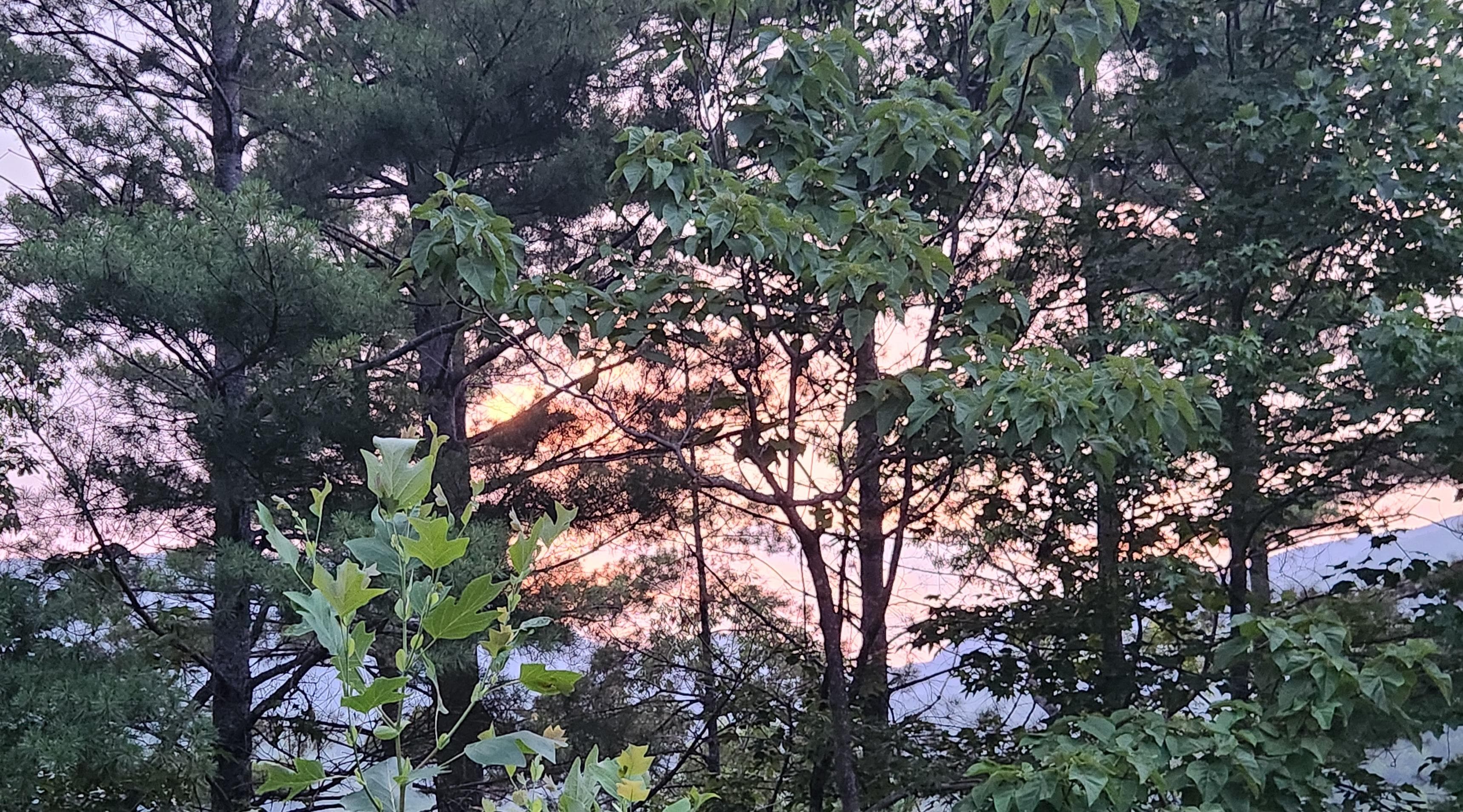 Sunset, picture doesn't do the colors justice.