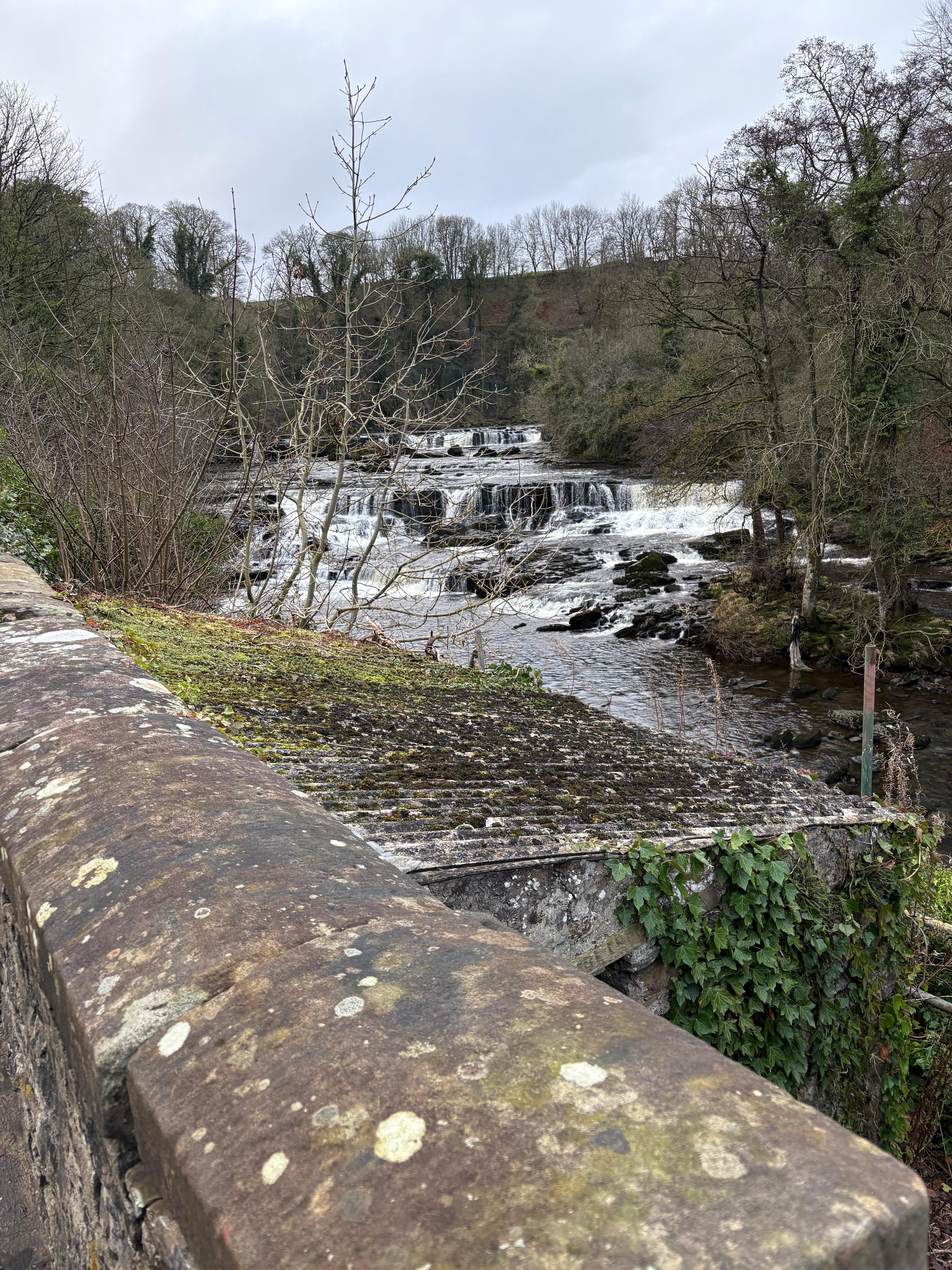 Higher Aysgarth Falls