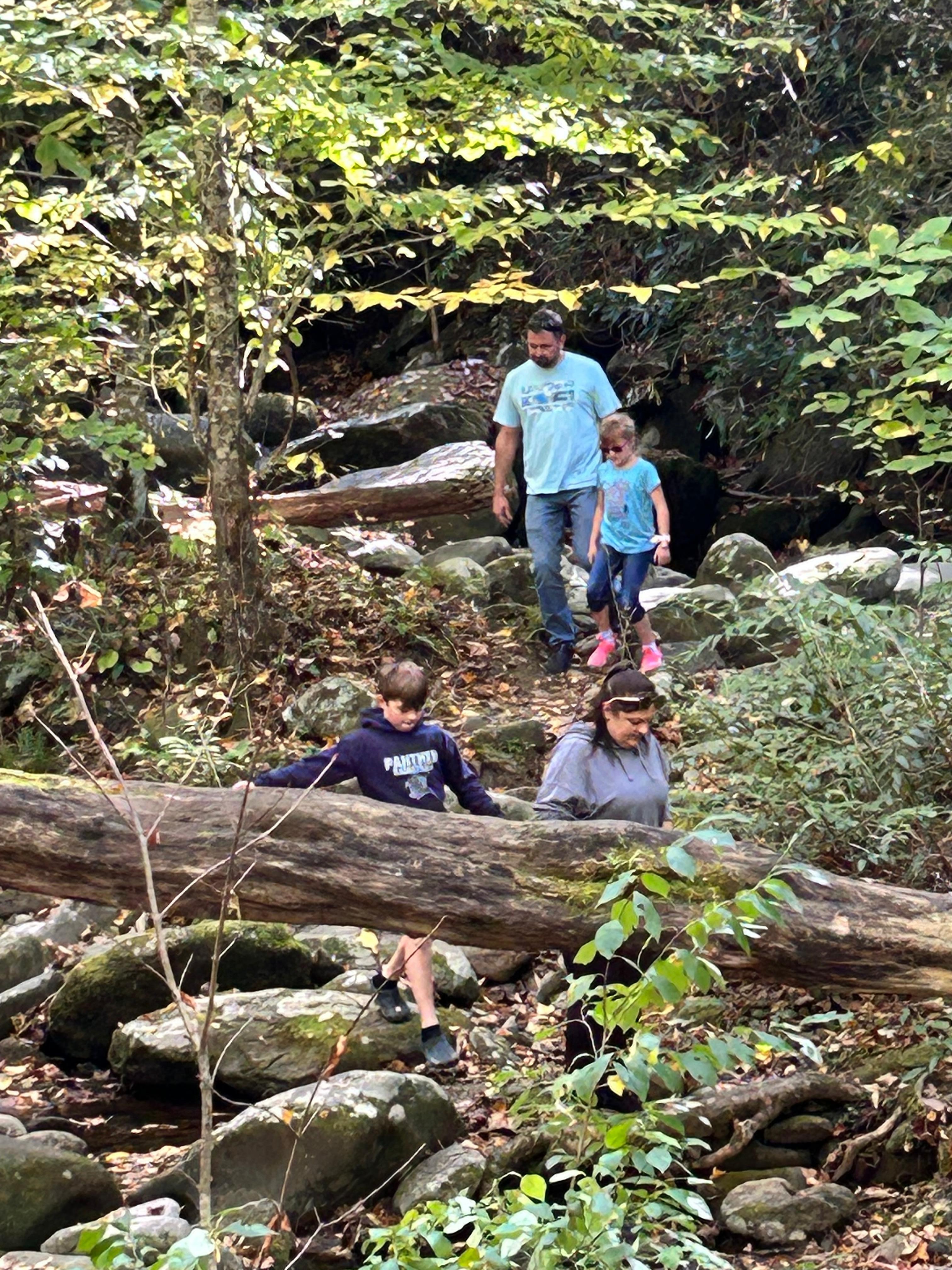 Family stopping by roadside in the national park 
