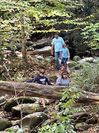 Family stopping by roadside in the national park