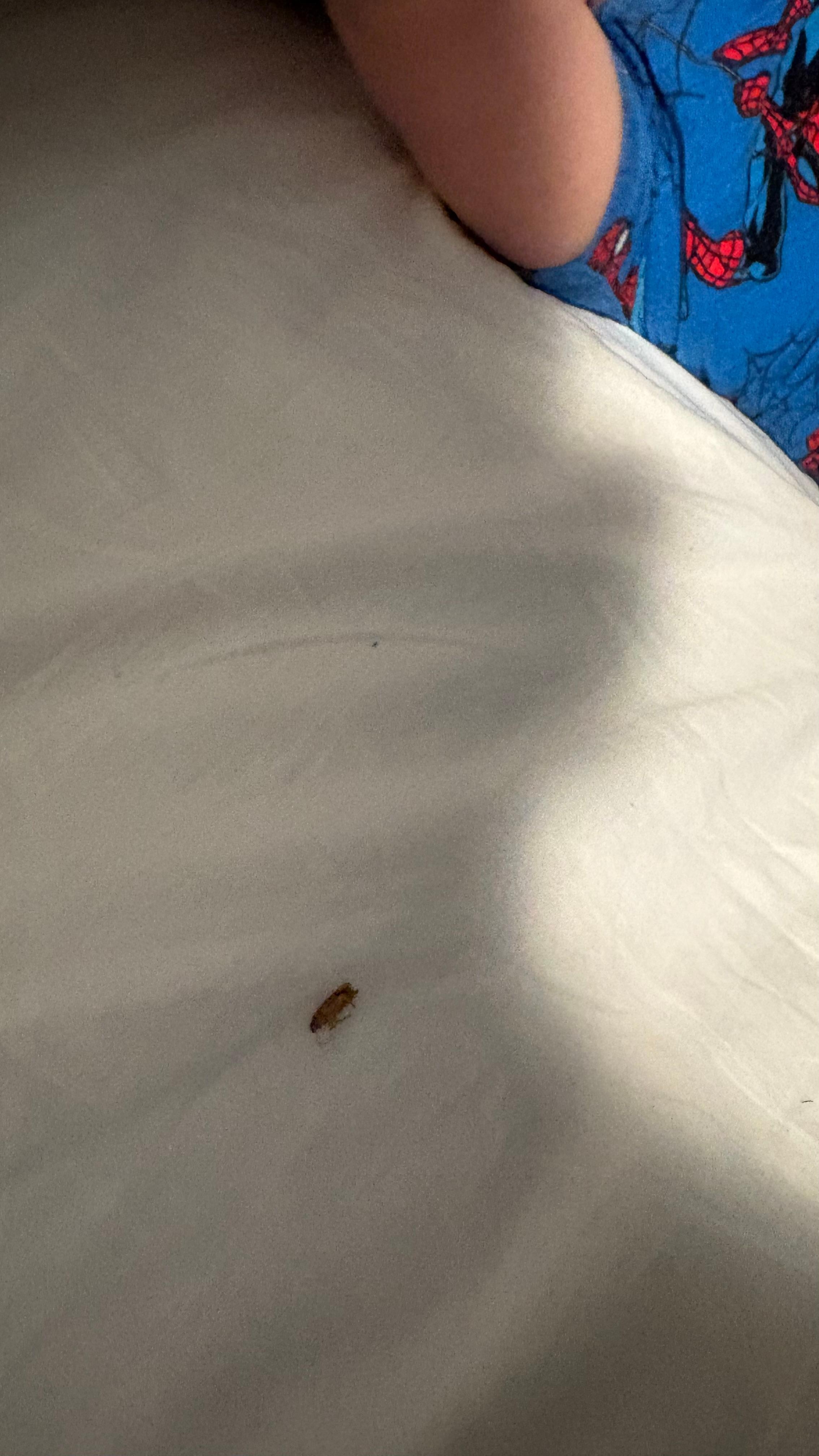 Mi hijo sufrió por esto 