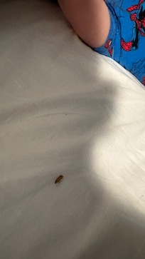 Mi hijo sufrió por esto