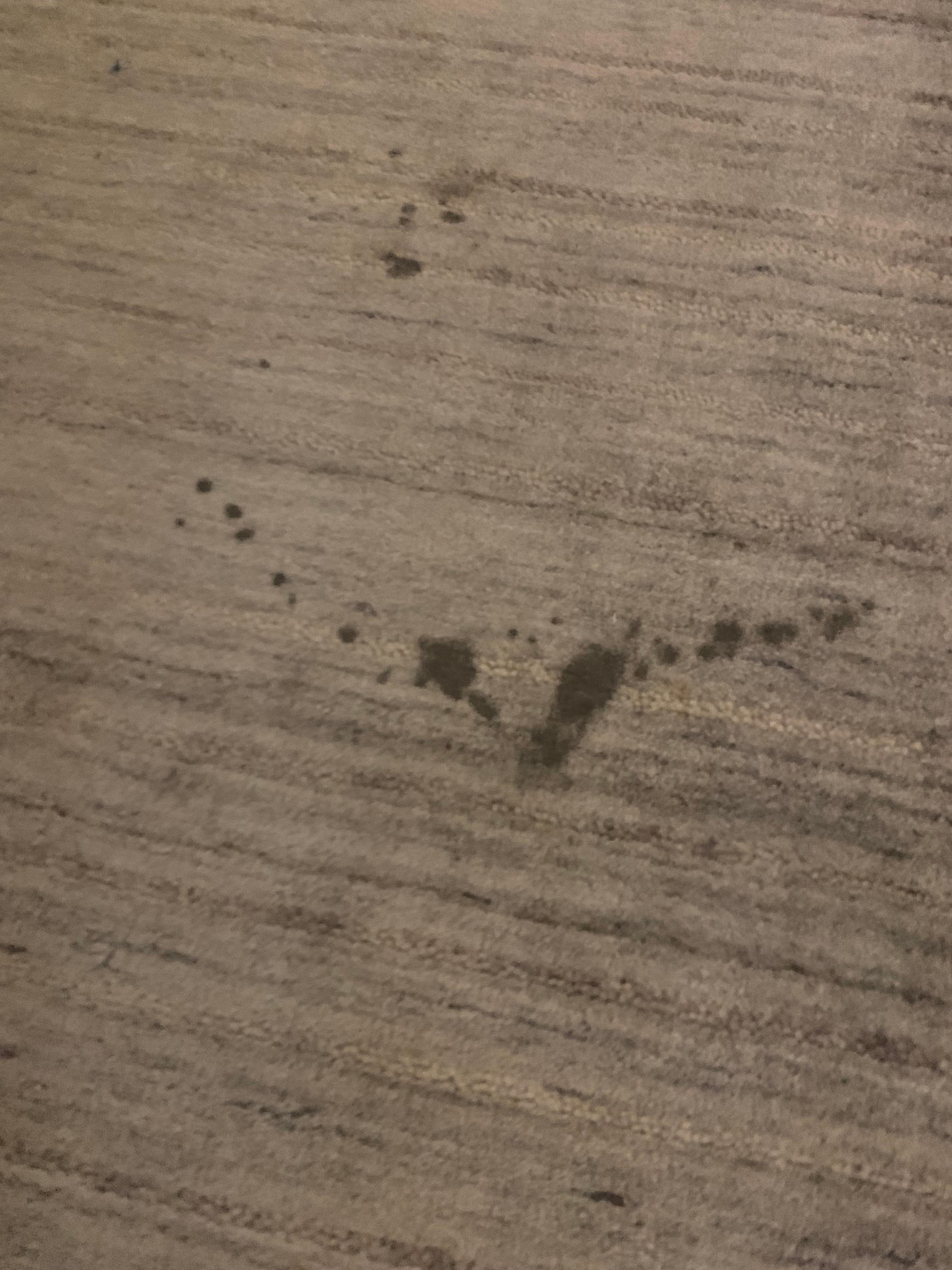 Dirty black marks on the rug