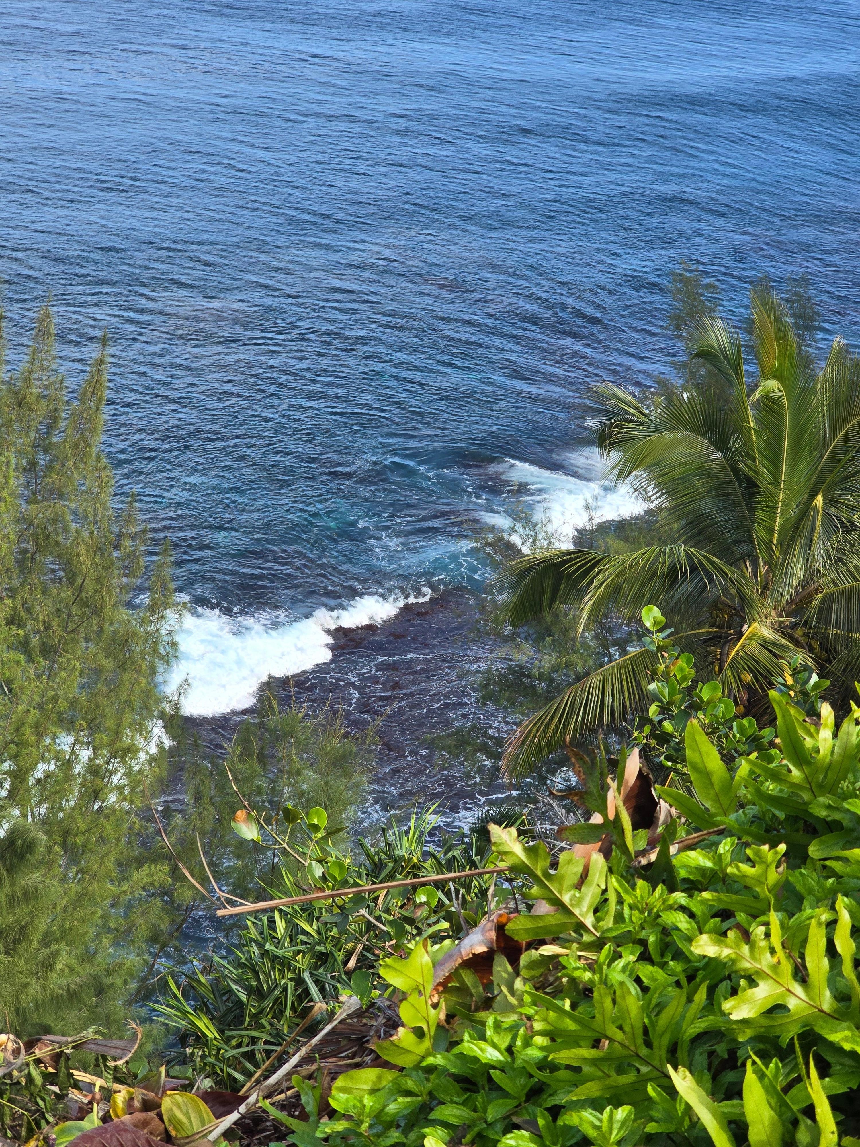 View from edge of condo lawn area