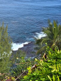 View from edge of condo lawn area