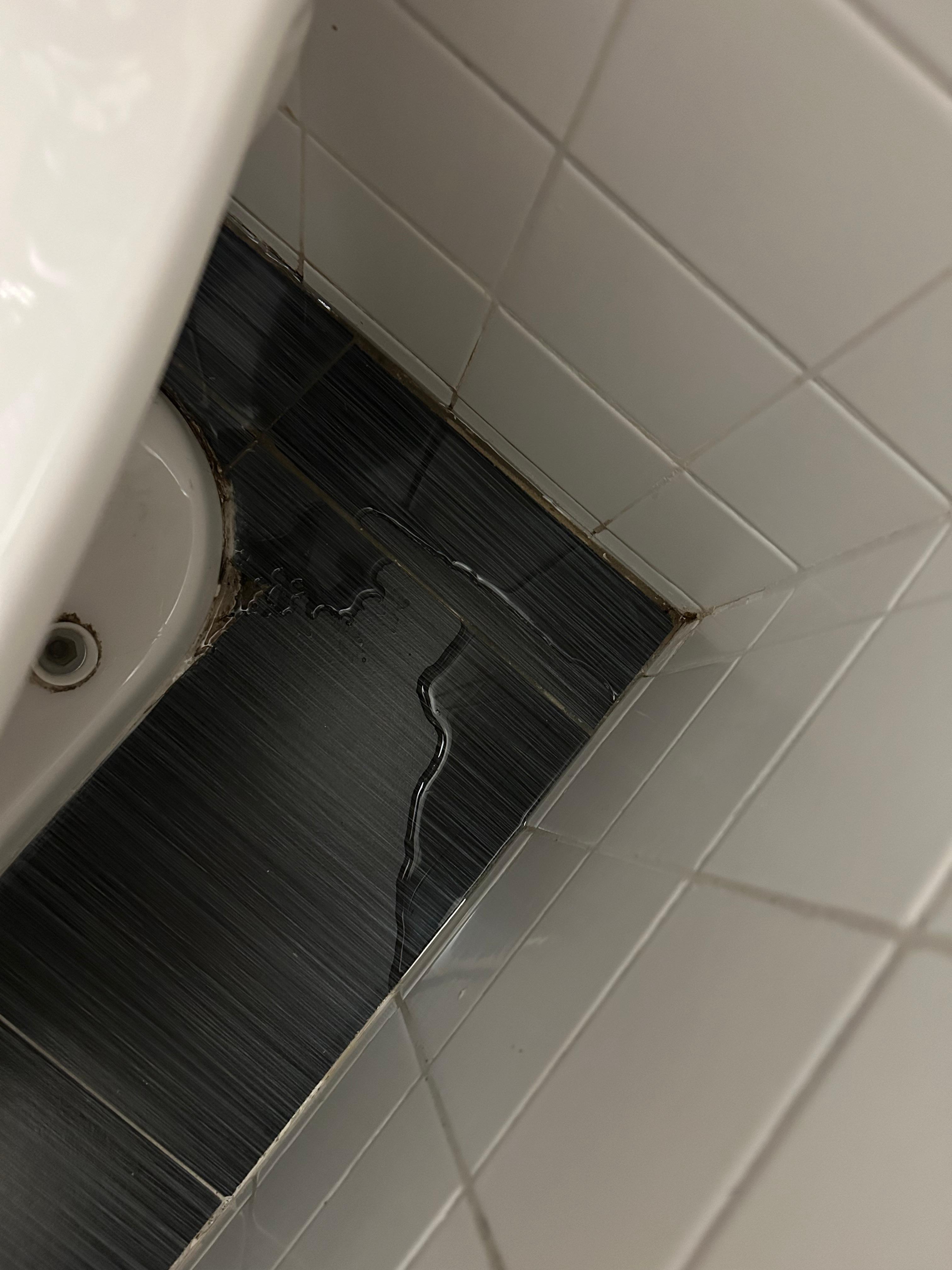 Leaking Toilet 2