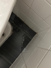 Leaking Toilet 2