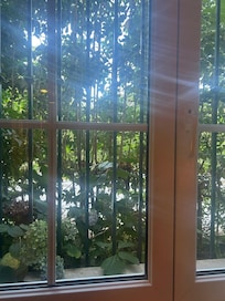 La ventana