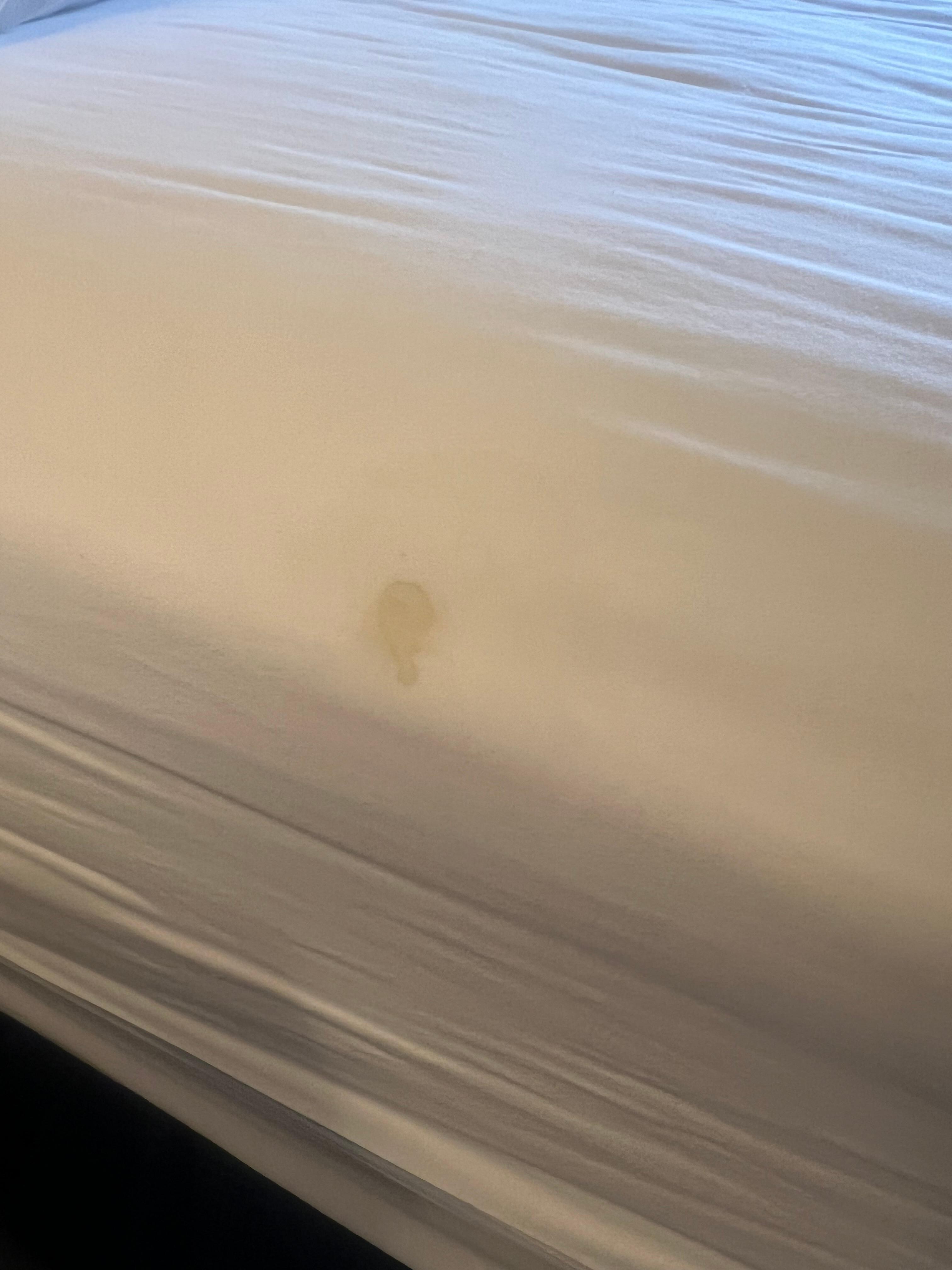 Blood Stains on Sheets