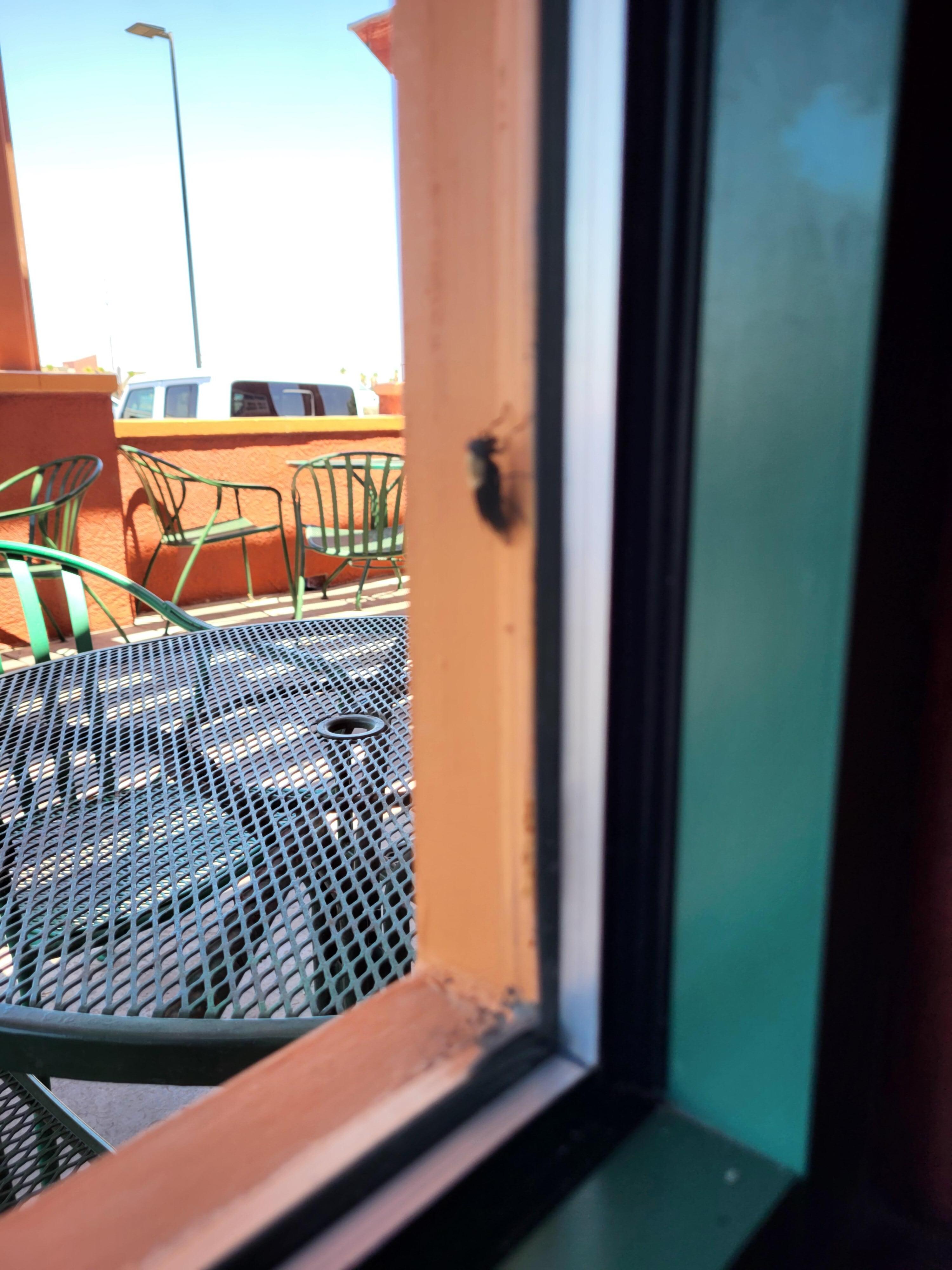 Outside dining patio.