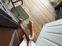 We miss our buddy Jack! He is the best!