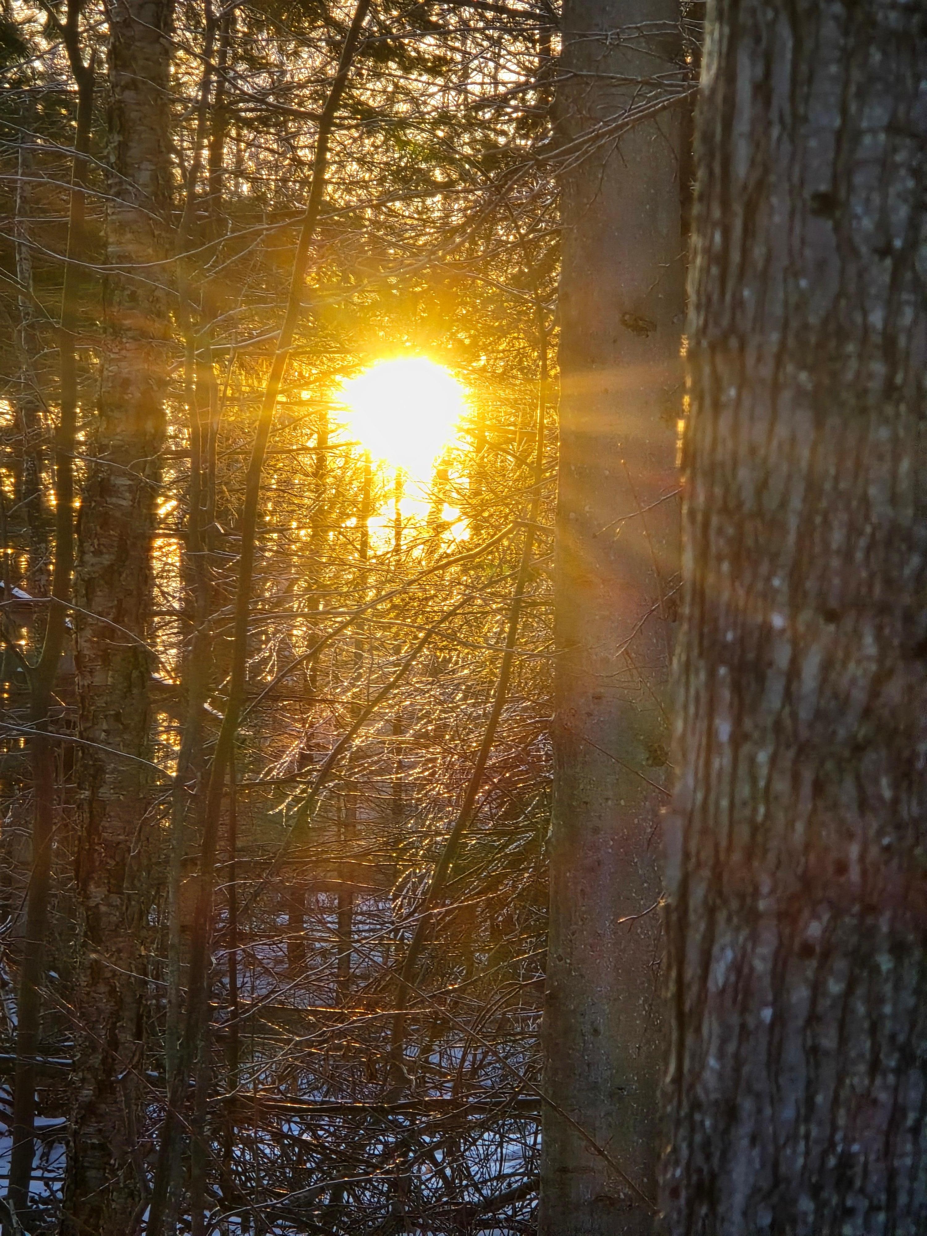 The perfect sunrise view.