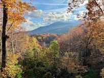 The amazing view from the back porch.