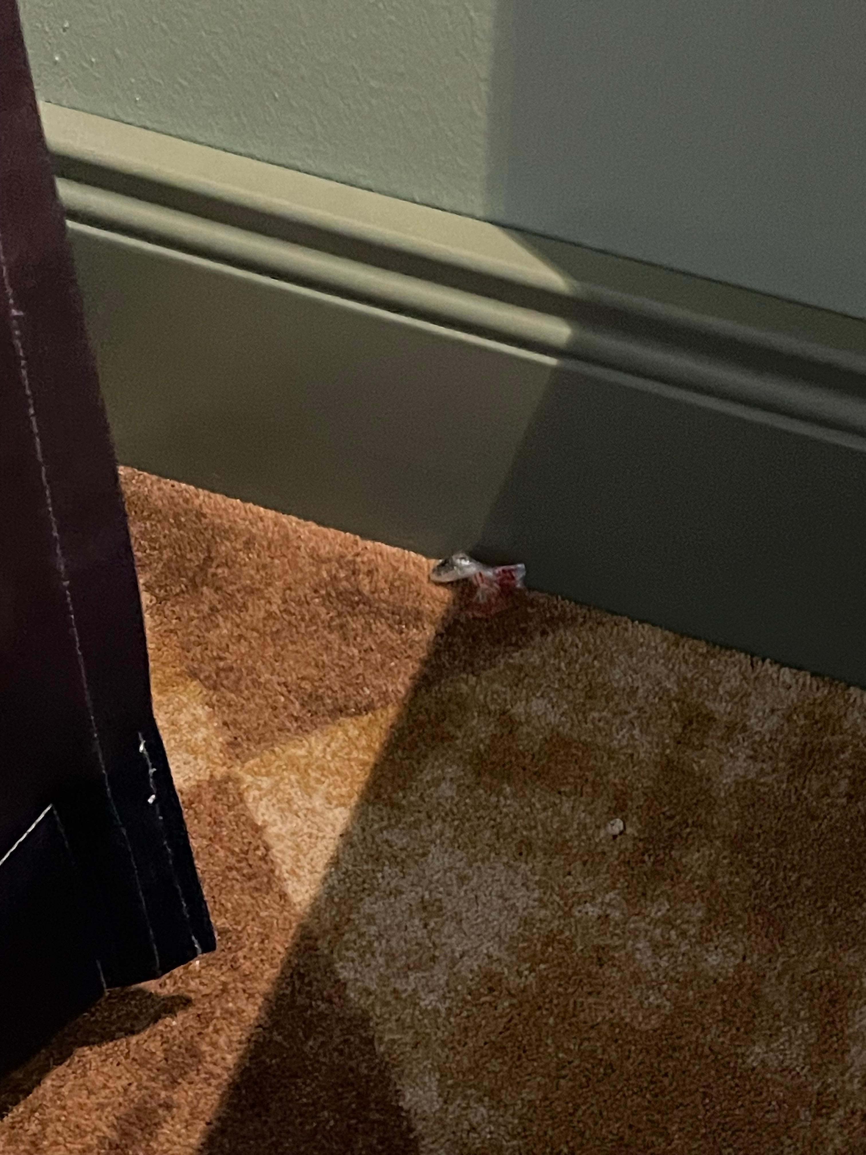 Candy trash on floor