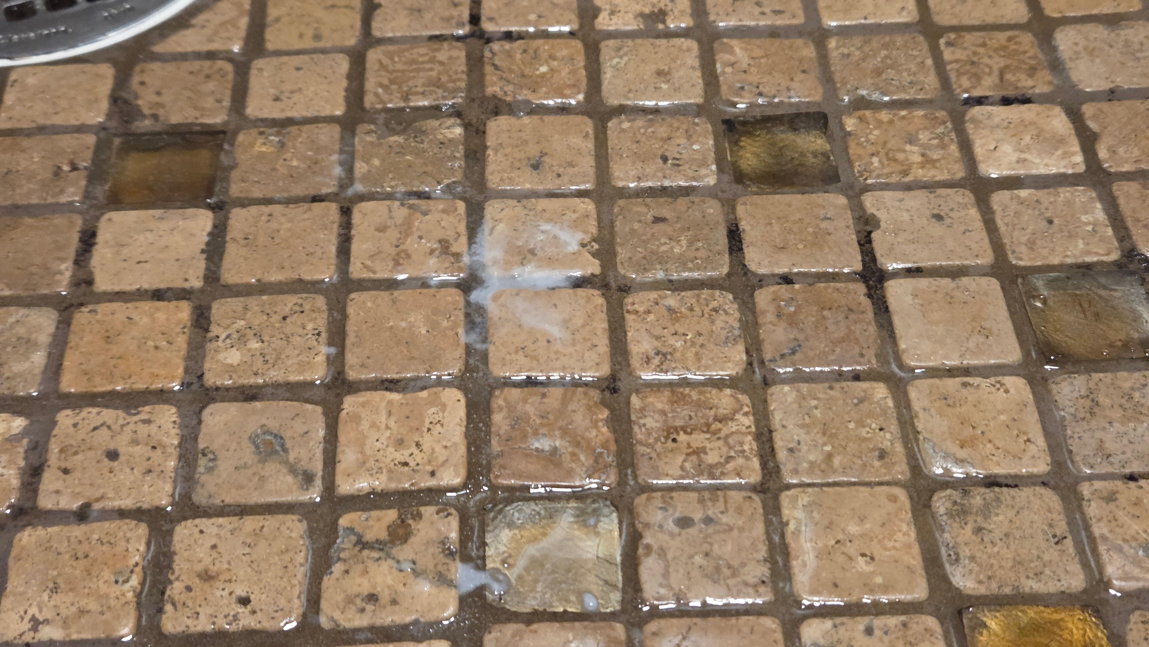 Strange substance on the shower floor. Large enough shower that it was a avoidable but still should have been cleaned after the last occupants.