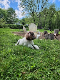 Enjoying the large, fenced in yard.