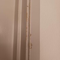 Sand stuck to side door frame of bathroom