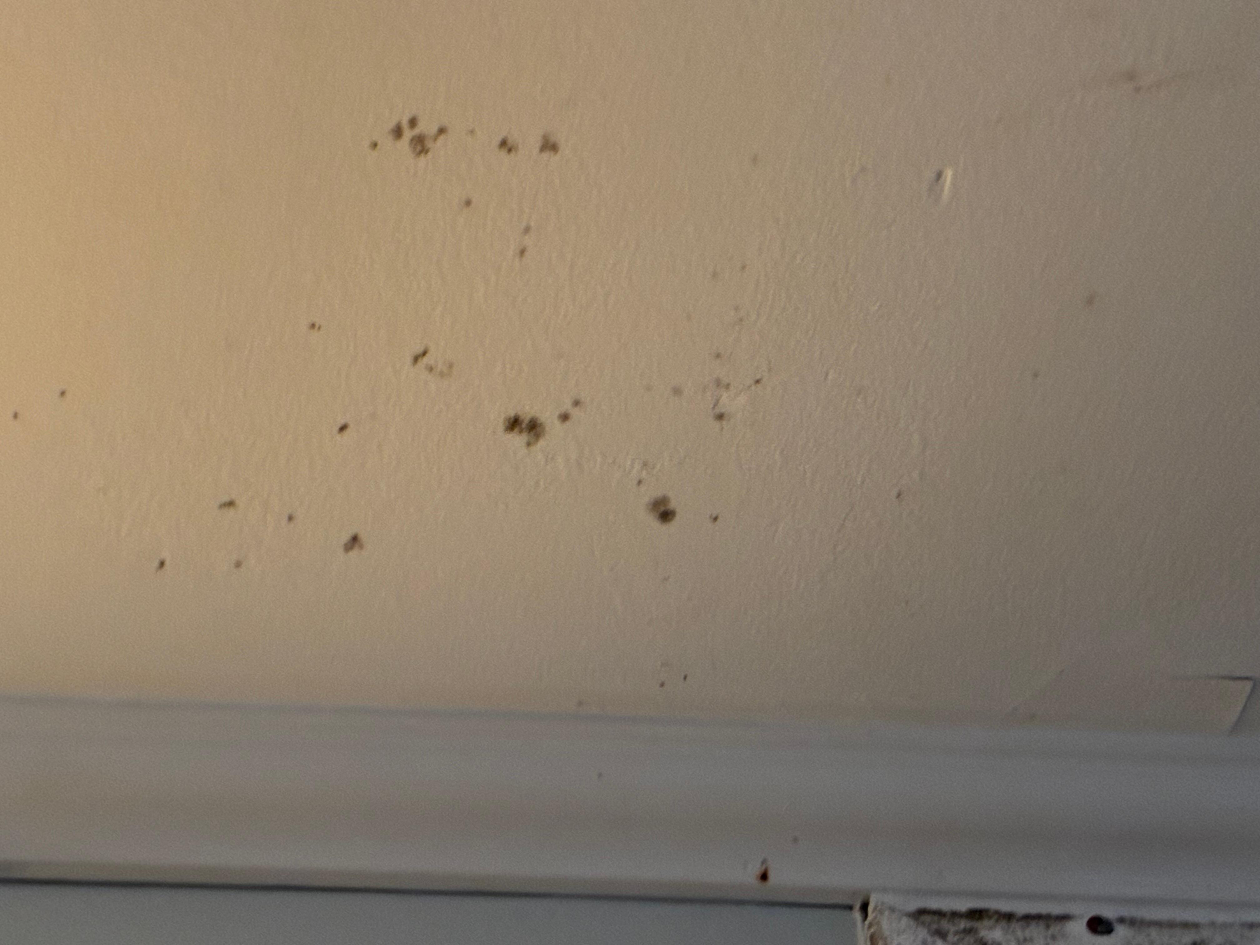 Bathroom ceiling with leaking water