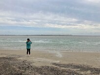 Observation des phoques à Berck / la baie d’Authie