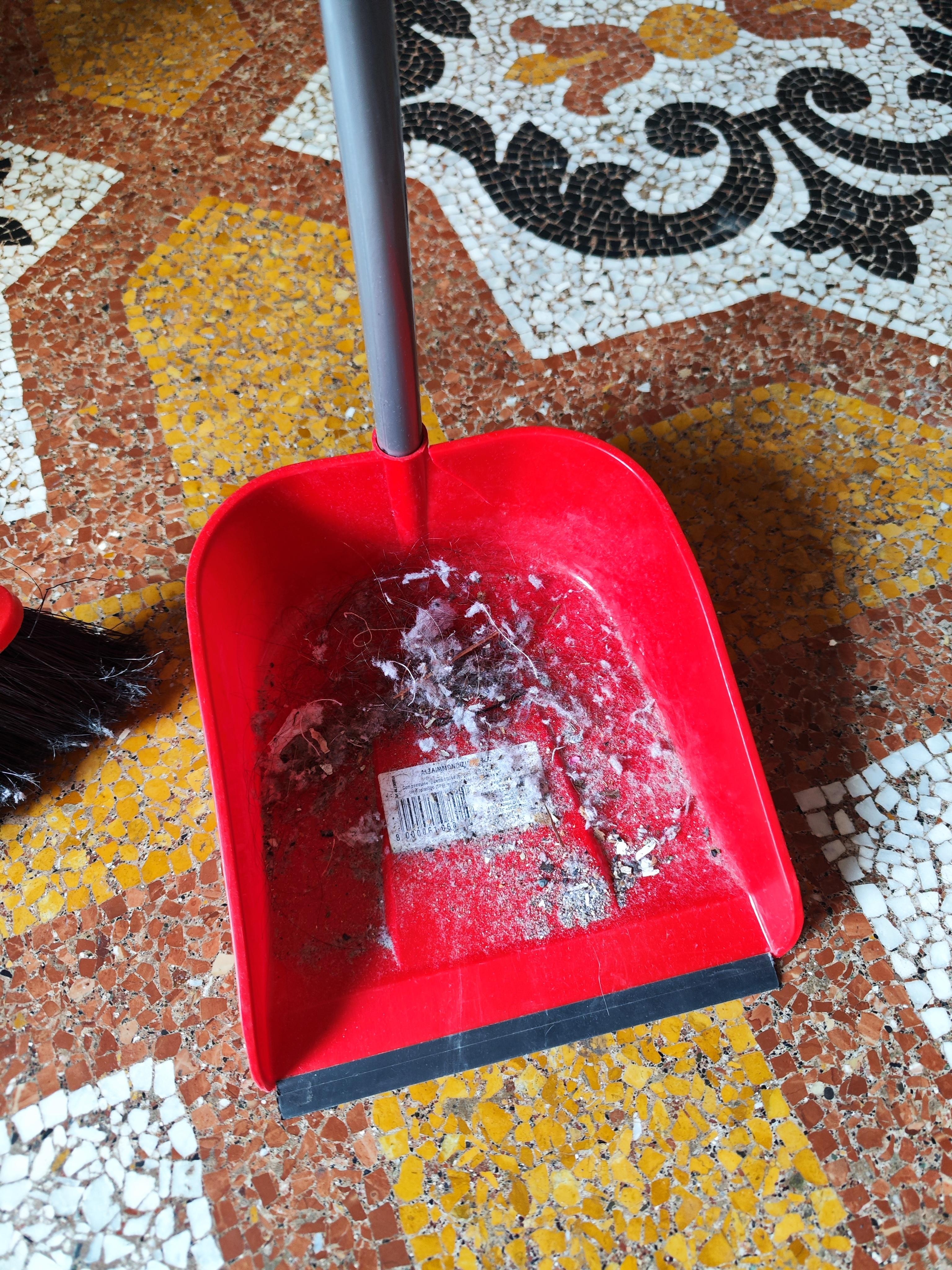 Saletés rassemblées le jour d'arrivée 