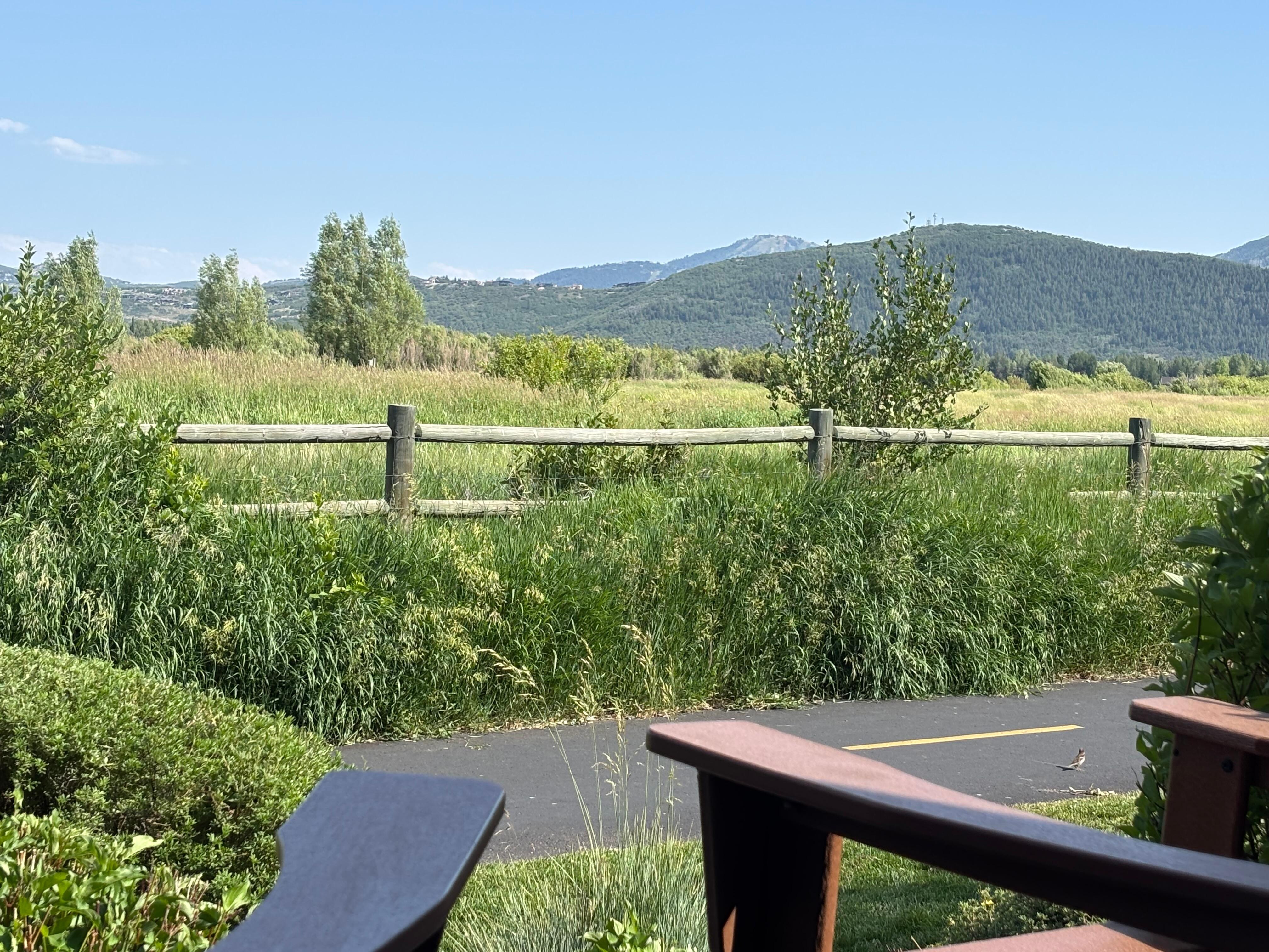 a slightly different angle of the view showing the walking/biking path.