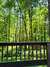 I'll be thinking of this deck view for a long time