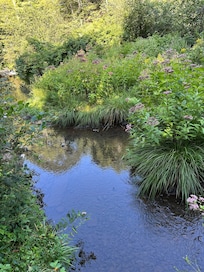 Red Creek is located at the bottom of foot path, a short walk from the camp site. Peaceful spot for relaxing or cooling off on a hot day.