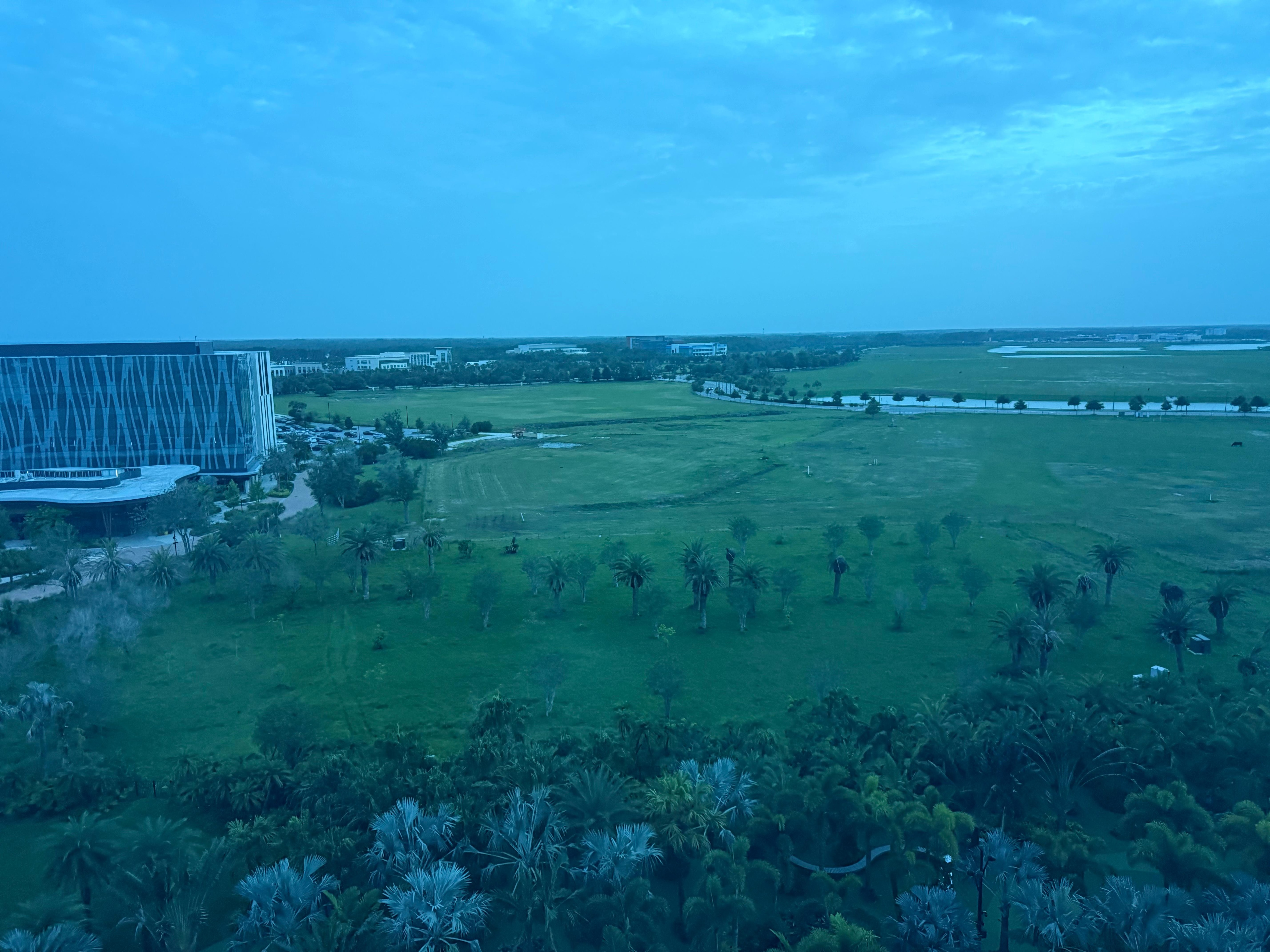 View from my room
