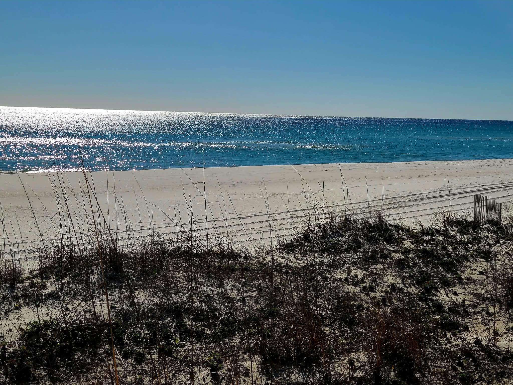 The water was beautiful!