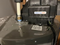 Mice droppings