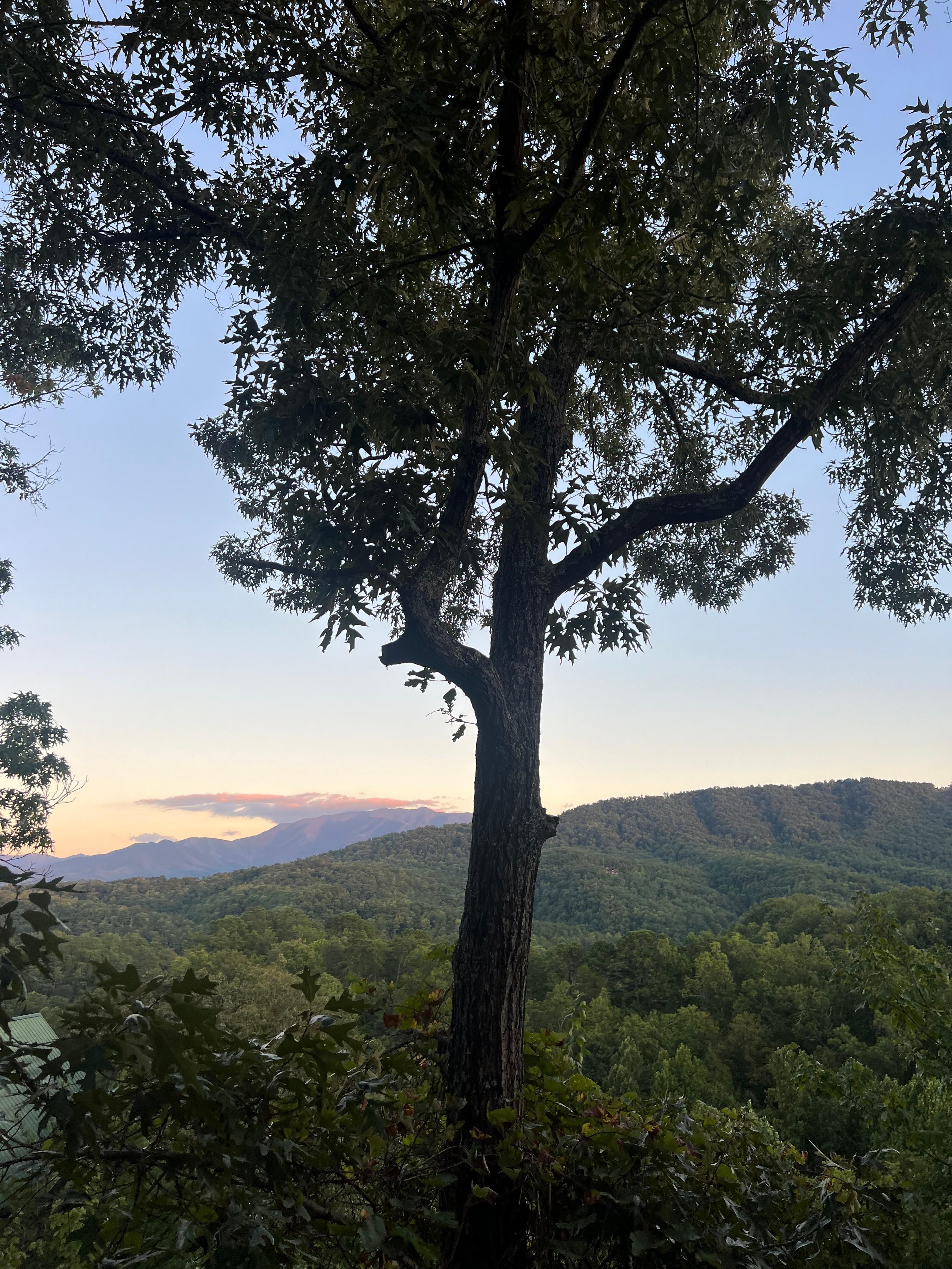 Sunset from the hot tub