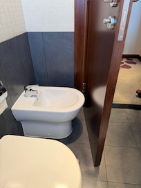 Bidet behind bathroom door.