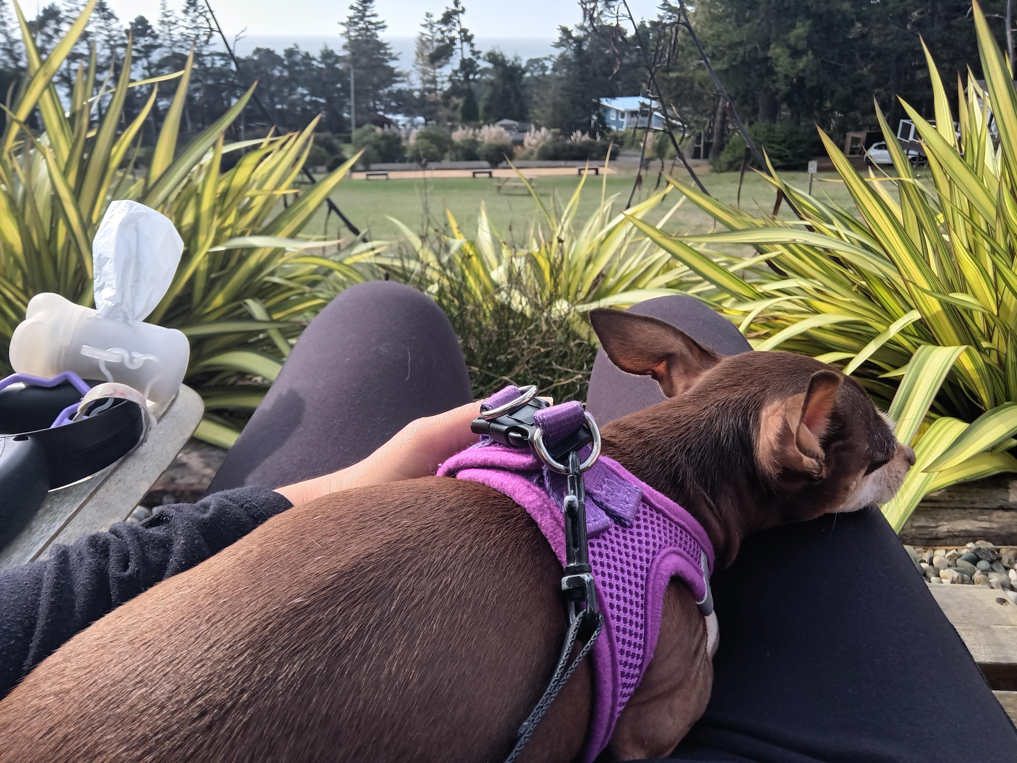 Relaxing on the balcony.