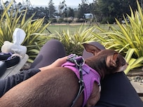 Relaxing on the balcony.