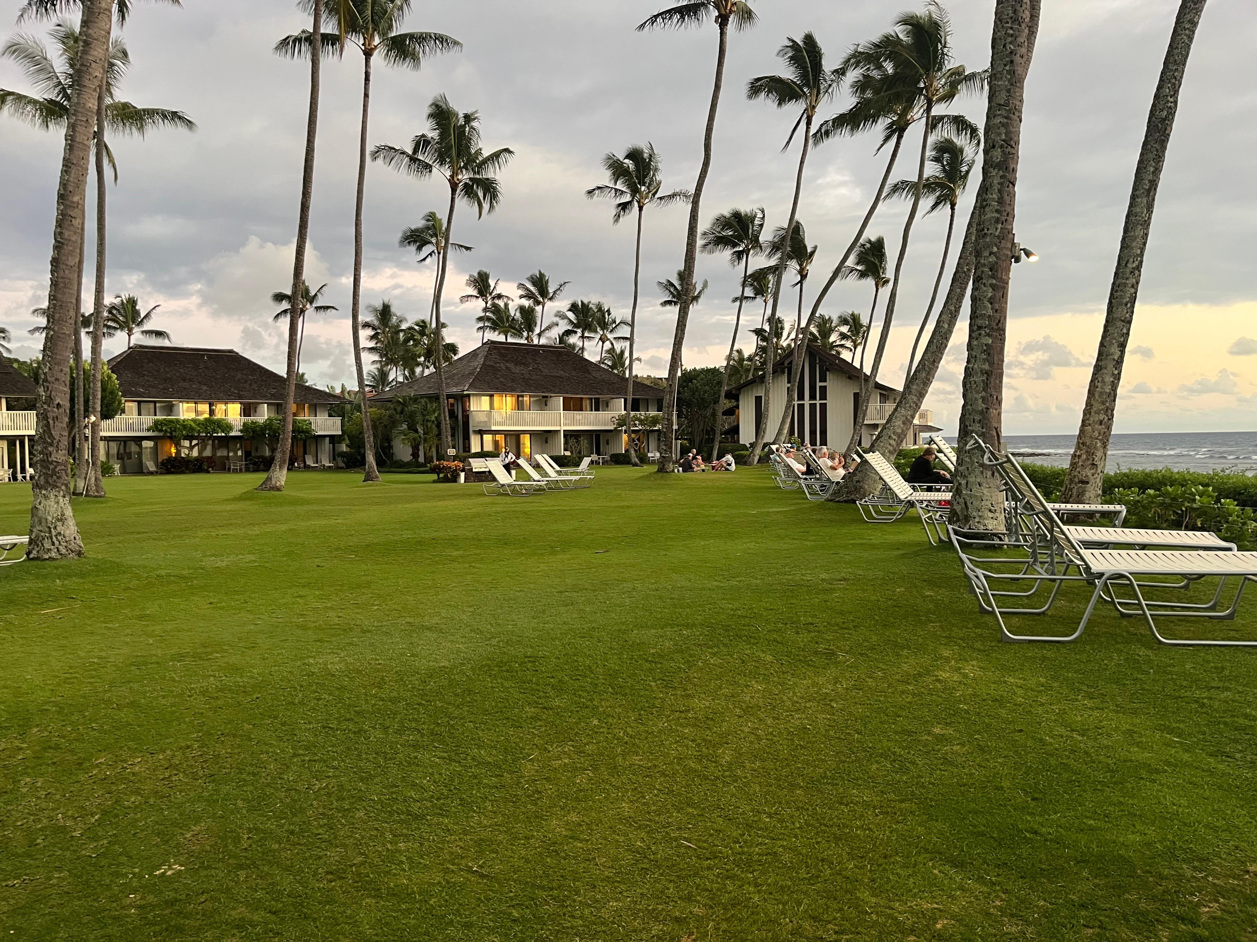 Great grass for bare feet!