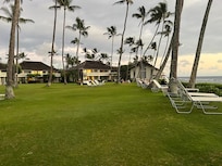 Great grass for bare feet!